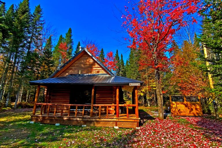 Chalet - Le Pionnier